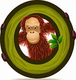 animal alphabet O with Orangutan cartoon