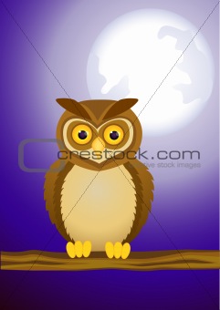 Owl cartoon