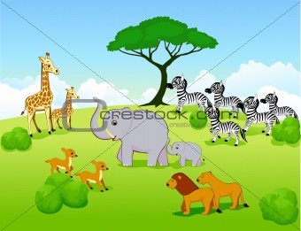 Safari cartoon