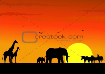 Safari Africa silhouette