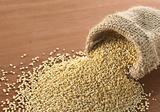 Raw White Quinoa Grains