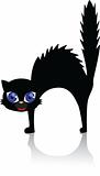 Scary black cat