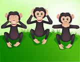 Three wishes monkey