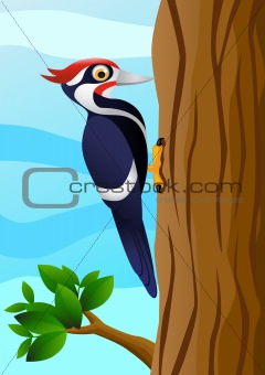 Image 3922180: Woodpecker cartoon from Crestock Stock Photos