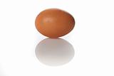 A brown egg