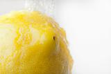 A yellow lemon