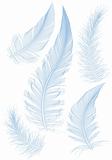 blue vector feather