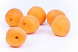  fresh apricot