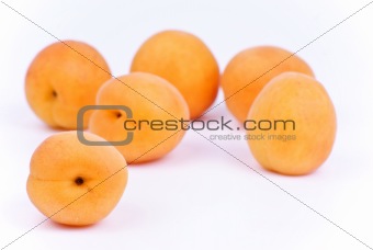  fresh apricot