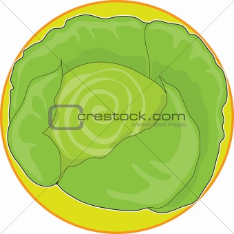 Cabbage Graphic