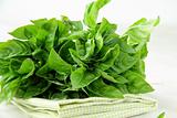 bunch of fresh basil on a napkin on the table