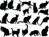 cat collection - vector