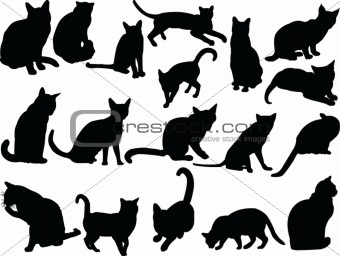 cat collection - vector