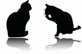 two cats with shadow  - vector