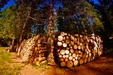 Lumber, Dolomites
