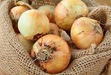 Organic fresh onion in linen bag