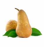 Fresh pear with leafs