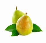Two green pears isolated on white