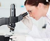 Attractive red-haired scientist looking through a microscope