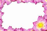 pink lotus frame background.