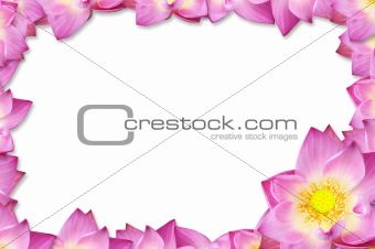 pink lotus frame background.