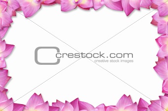 pink lotus frame background