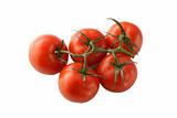 Tomato on stem isolated