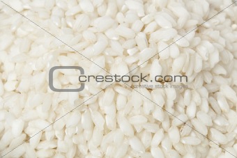 Dry white rice