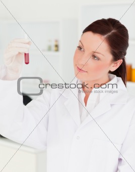 Good looking scientist looking at the camera while holding a  te