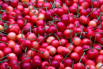 Sweet cherries