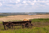 Landscape with old-fashion cart