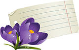 Blank paper with flowers for a romantic message