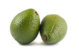 Two ripe green avocado