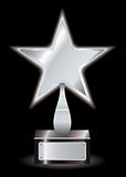 Silver star award trophy