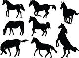 horses collection - vector