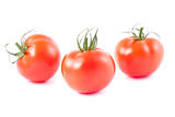 Three fresh ripe tomatoes