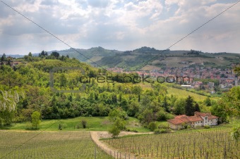 View in hills and vineyards of Piedmont.