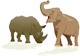 Elephant and rhino