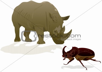 Rhino and Rhino beetle