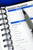 Do the budget planning on the day planner