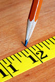 Measuring tape and pencil are tools for carpenters