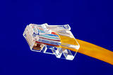 Close-up view of the yellow Ethernet (RJ45) network cable isolated on blue