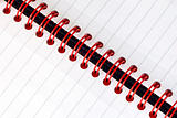 A fragment of the spiral note pad