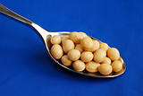 Close up view of a spoonful of soy beans isolated on blue