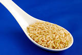 A spoonful of uncooked brown rice isolated on blue