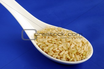 A spoonful of uncooked brown rice isolated on blue