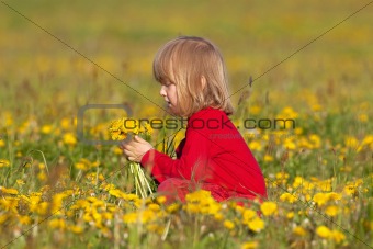boy with long blond hair picking dandelions in a spring field