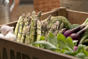 Freshly harvested asparagus in crate