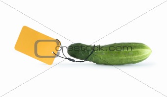 Cucumber With Blank Label