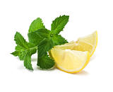 Lemons slices with mint 